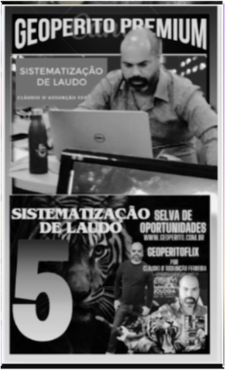 Sistematização de Laudo 